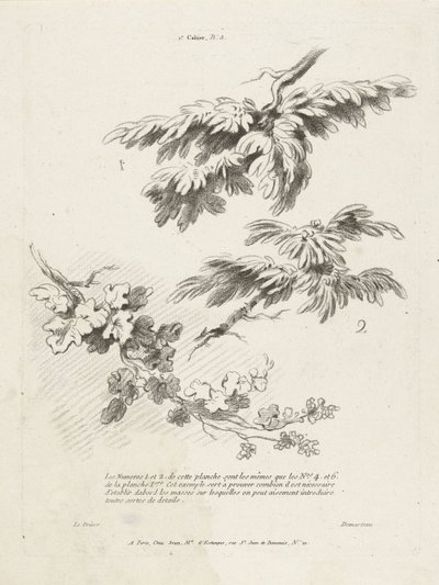 Studio di tre rami con foglie (1er Cahier de paysage) da Gilles Demarteau