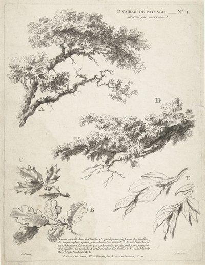 Studio di rami con foglie (serie: Primo quaderno di paesaggi) da Gilles Demarteau