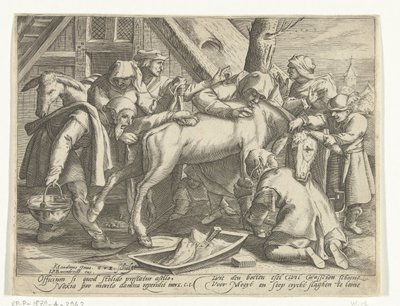 Il lavaggio dell