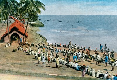 Pasto comunitario del villaggio, Isole Andamane e Nicobare, Oceano Indiano, c1890 da Gillot