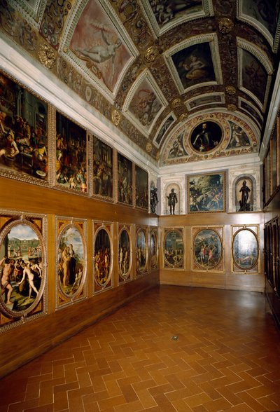 Vista dello Studiolo di Francesco I de