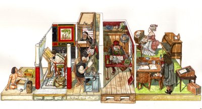 Evoluzione dell