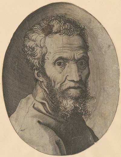 Ritratto di Michelangelo da Giorgio Ghisi