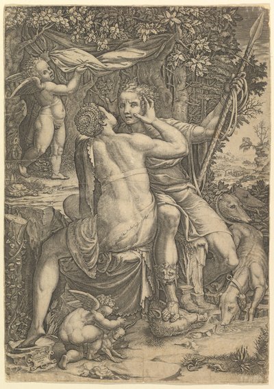 Venere e Adone da Giorgio Ghisi