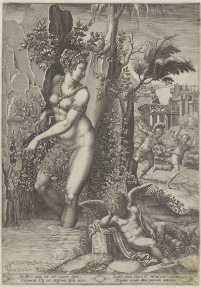 Venere e la rosa da Giorgio Ghisi