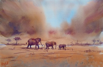 Viaggio di un elefante africano da Giorgio Gosti