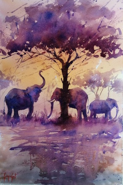 Elefanti africani al tramonto viola da Giorgio Gosti