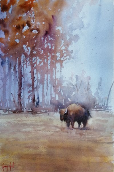 Bisonte nella nebbia autunnale da Giorgio Gosti