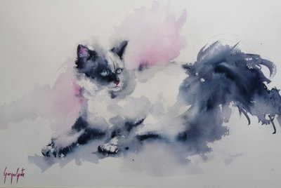 Gatto dagli occhi blu dipinto ad acquerello da Giorgio Gosti
