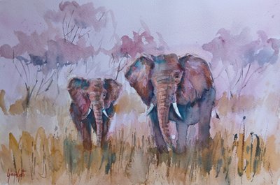 Elefanti nella savana nebbiosa da Giorgio Gosti
