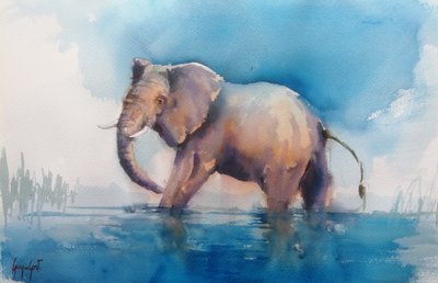 Il maestoso elefante che guadagna il fiume da Giorgio Gosti