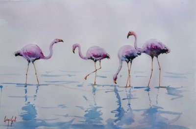 Fenicotteri rosa che sguazzano da Giorgio Gosti