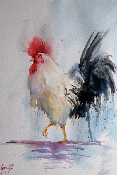 Il gallo fiero - Acquerello da Giorgio Gosti