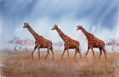 Trio di giraffe Safari da Giorgio Gosti