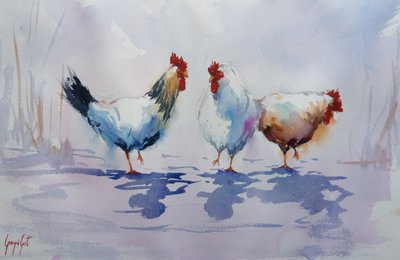 Tre galline da cortile da Giorgio Gosti