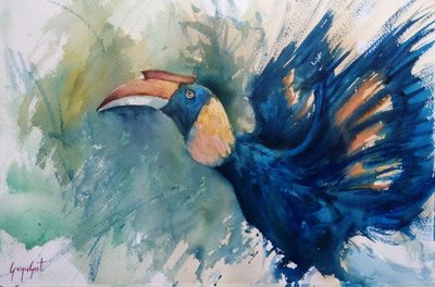 Bucero blu tropicale da Giorgio Gosti