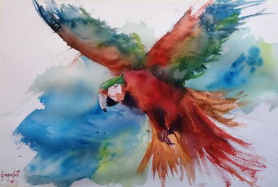 Un vivace ara in volo da Giorgio Gosti
