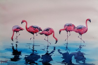 Fenicotteri rosa che guadano da Giorgio Gosti