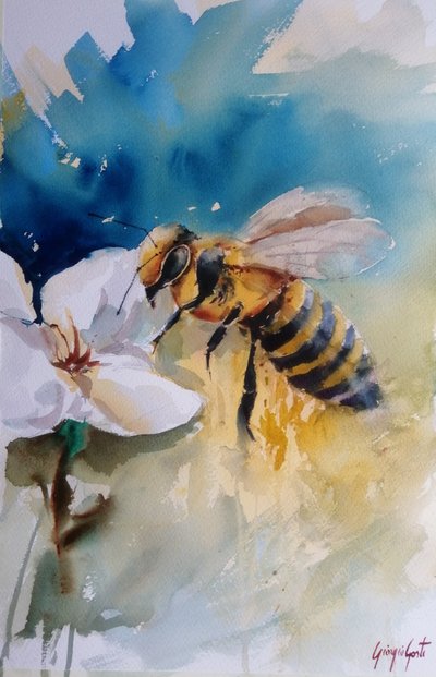 Ape su un fiore dipinta ad acquerello da Giorgio Gosti