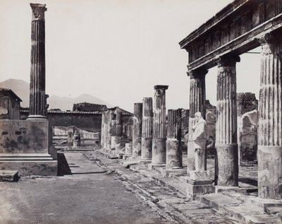 Colonnato orientale del Tempio di Venere Pompeiiana a Pompei da Giorgio Sommer