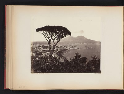 Veduta di Napoli, Italia, con un pino in primo piano da Giorgio Sommer