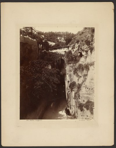 Napoli, Piedigrotta da Giorgio Sommer