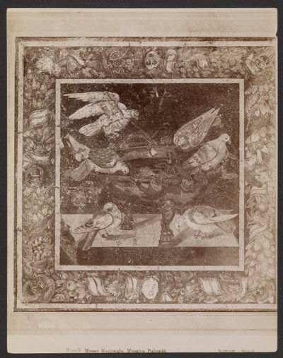 Palombi Mosaic, Napoli Museo Nazionale da Giorgio Sommer