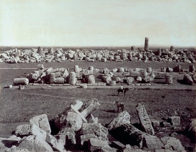 Panorama dei resti del Tempio di Minerva e del Tempio di Apollo a Selinunte. C