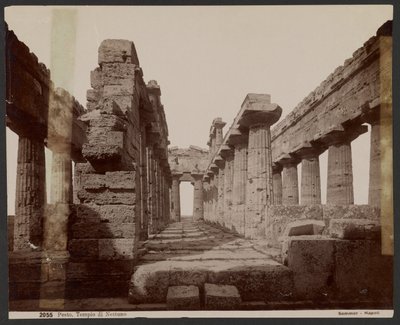 Tempio di Nettuno, Paestum da Giorgio Sommer