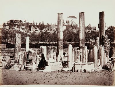 Il Tempio di Serapide a Pozzuoli, Napoli da Giorgio Sommer