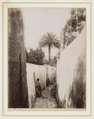  da Giorgio Sommer