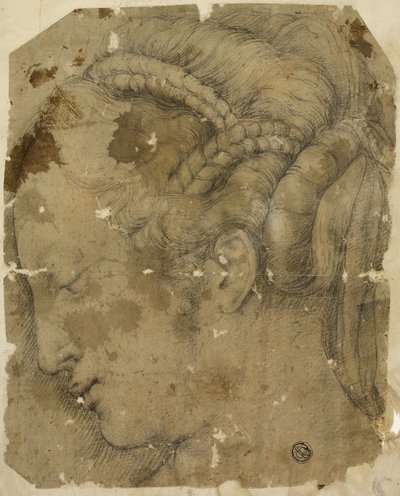 Testa femminile di profilo a sinistra da Giorgio Vasari