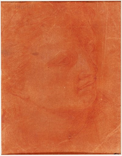 Testa in profilo di tre quarti (recto); Giovane uomo in piedi che indica a sinistra e schizzi di piedi, braccio (verso) da Giorgione
