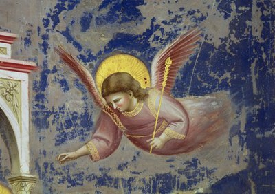 Angelo, dalla Presentazione di Cristo al Tempio, c.1305 (dettaglio) da Giotto (c.1266 1337)