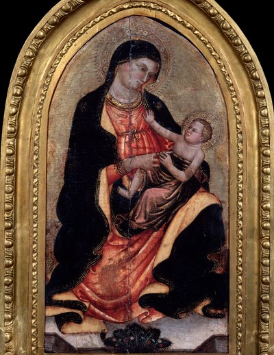 Vergine e Bambino da Giotto di Bondone