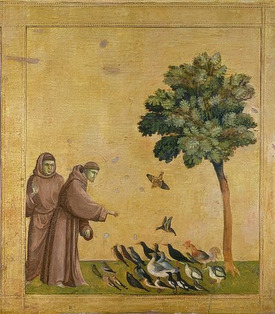 San Francesco predica agli uccelli (Predella) da Giotto di Bondone