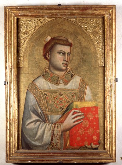 Immagine sconosciuta da Giotto di Bondone