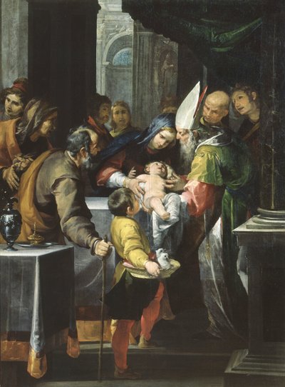 La presentazione al Tempio da Giovacchino Assereto