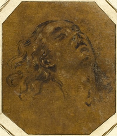Testa femminile da Giovan Gioseffo dal Sole