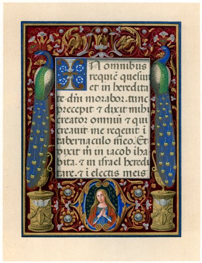 Pagina di testo con la Vergine e due pavoni, c. 1490 da Giovan Pietro Birago