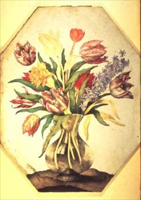Vaso di vetro con tulipani e un giacinto da Giovanna Garzoni