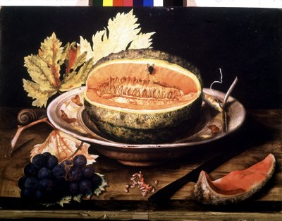 Anguria con mosca da Giovanna Garzoni