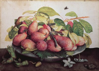 Pere con biancospini da Giovanna Garzoni