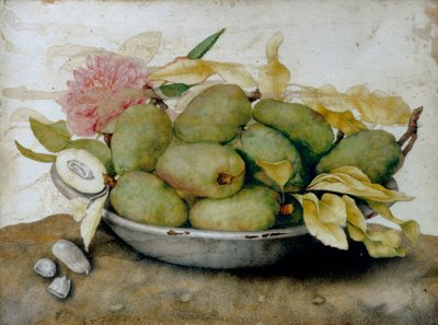 Piatto di nespole, mandorle e una rosa da Giovanna Garzoni