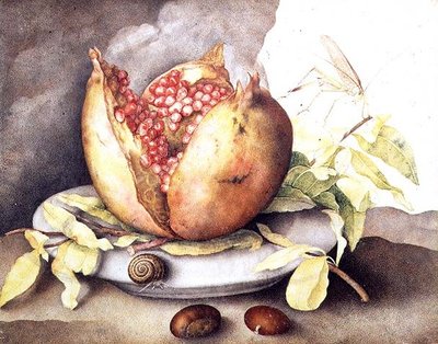 Melograno con castagne da Giovanna Garzoni