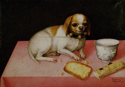Ritratto di un cane da Giovanna Garzoni