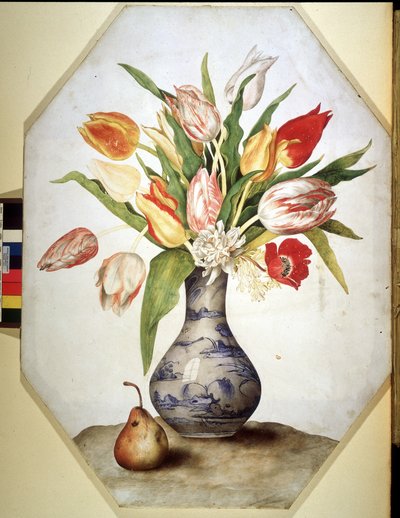 Immagine sconosciuta da Giovanna Garzoni