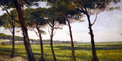 Una fila di vecchi pini da Giovanni Costa