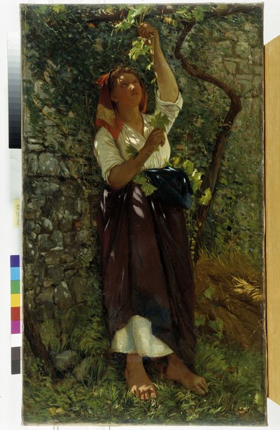 La potatura delle viti da Giovanni Costa
