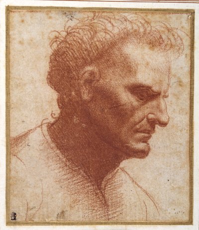 Testa di un uomo senza barba che guarda verso il basso da Giovanni Agostino da Lodi